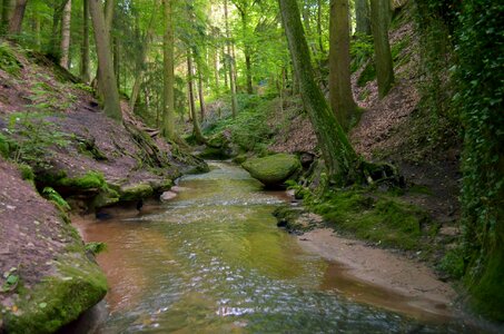 Water gorge nature