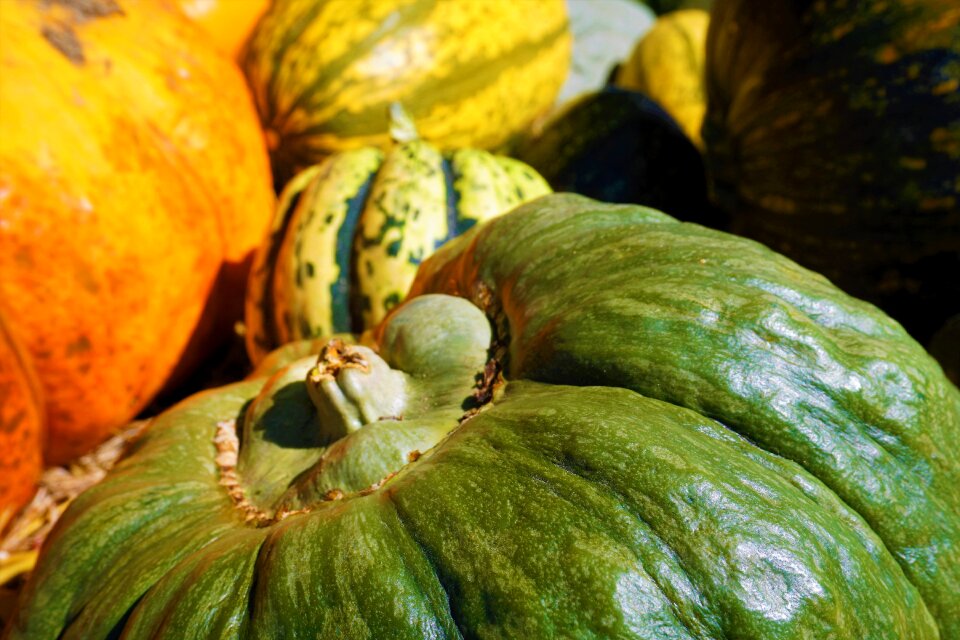 Autumn thanksgiving