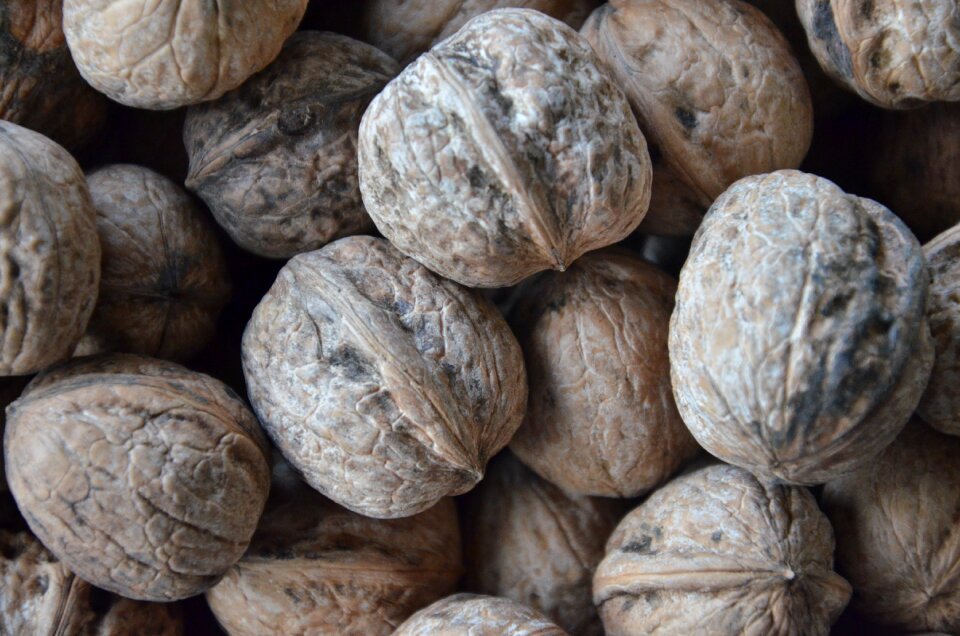 Fruit secca walnuts