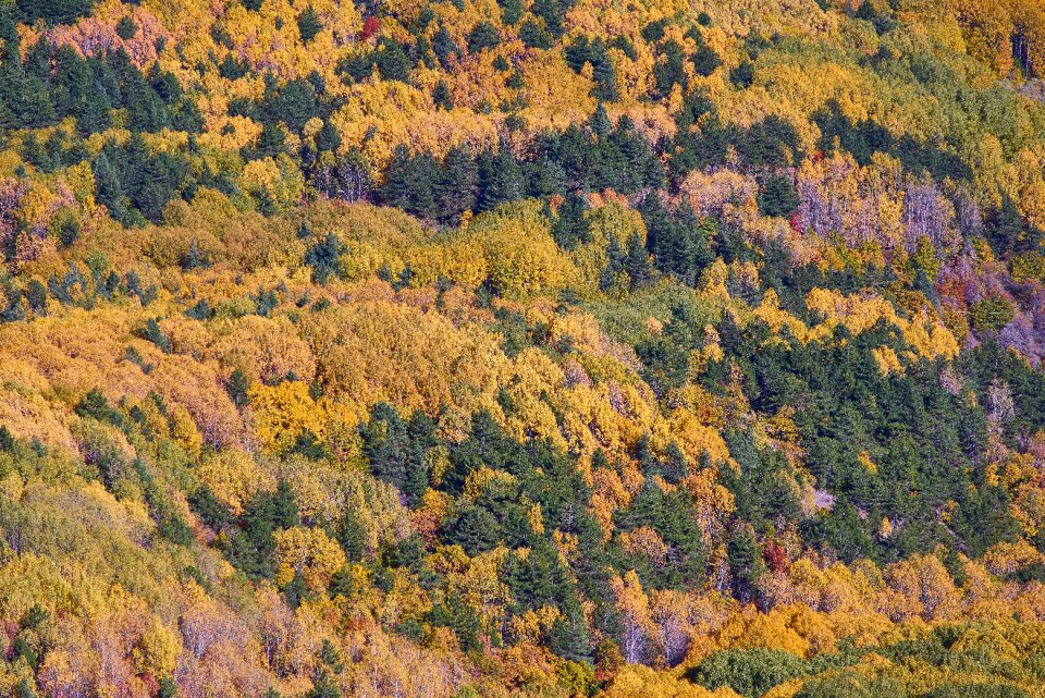 Nature beautiful landscape