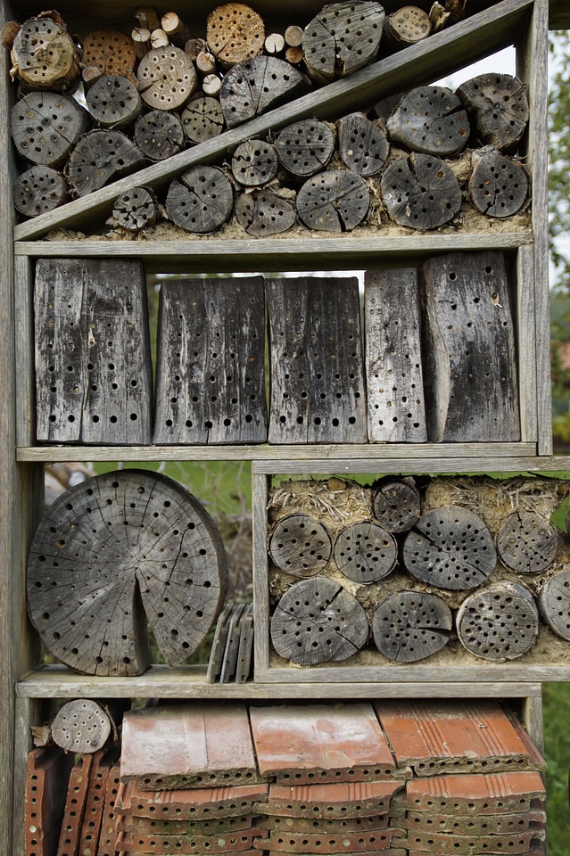 Insect hotel insect house insect asylum