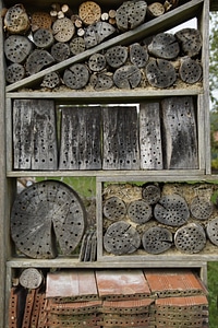 Insect hotel insect house insect asylum