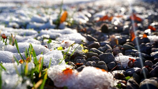 Winter garden cold