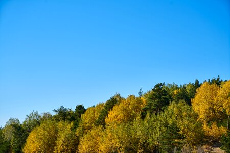 Nature beautiful background