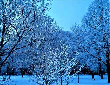 Landscapes snow landscape winter magic