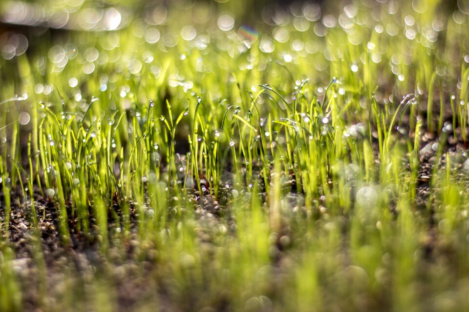 In the morning spring autumn