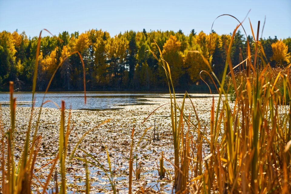 Nature beautiful background