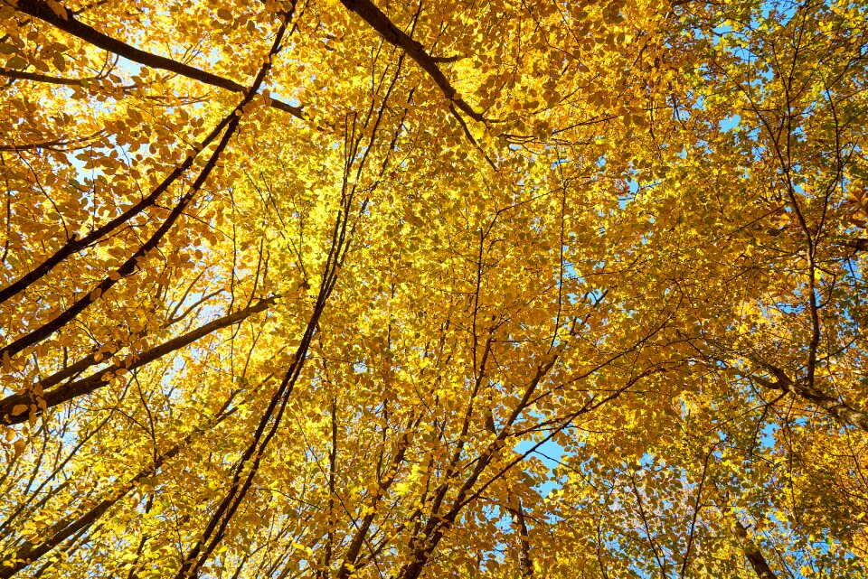Nature beautiful background