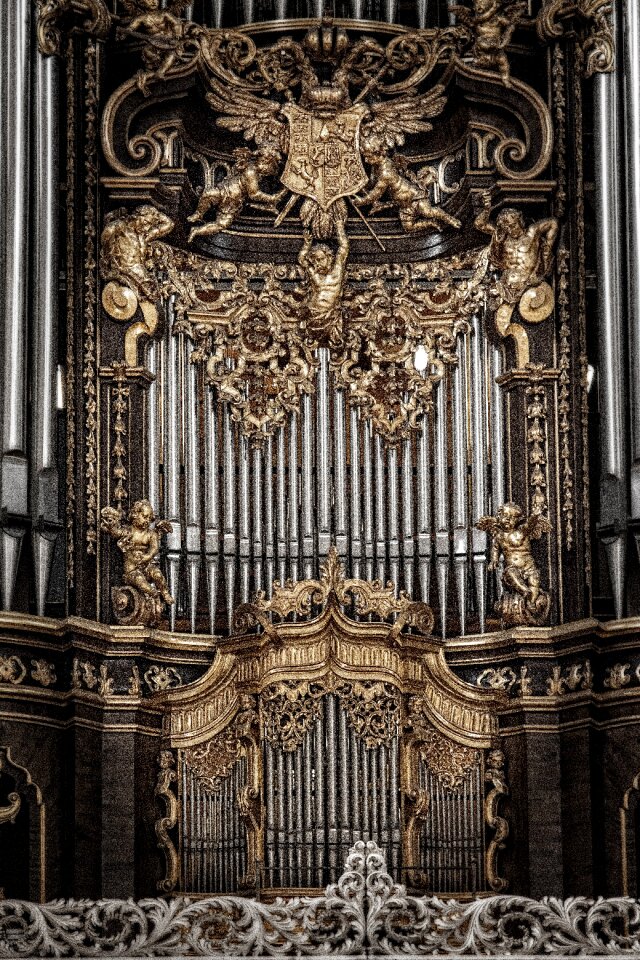 Organ golden frescoes