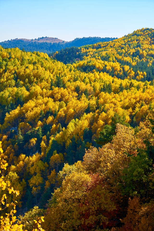 Nature mountain landscape