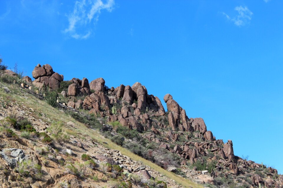 Southwest saguaro travel