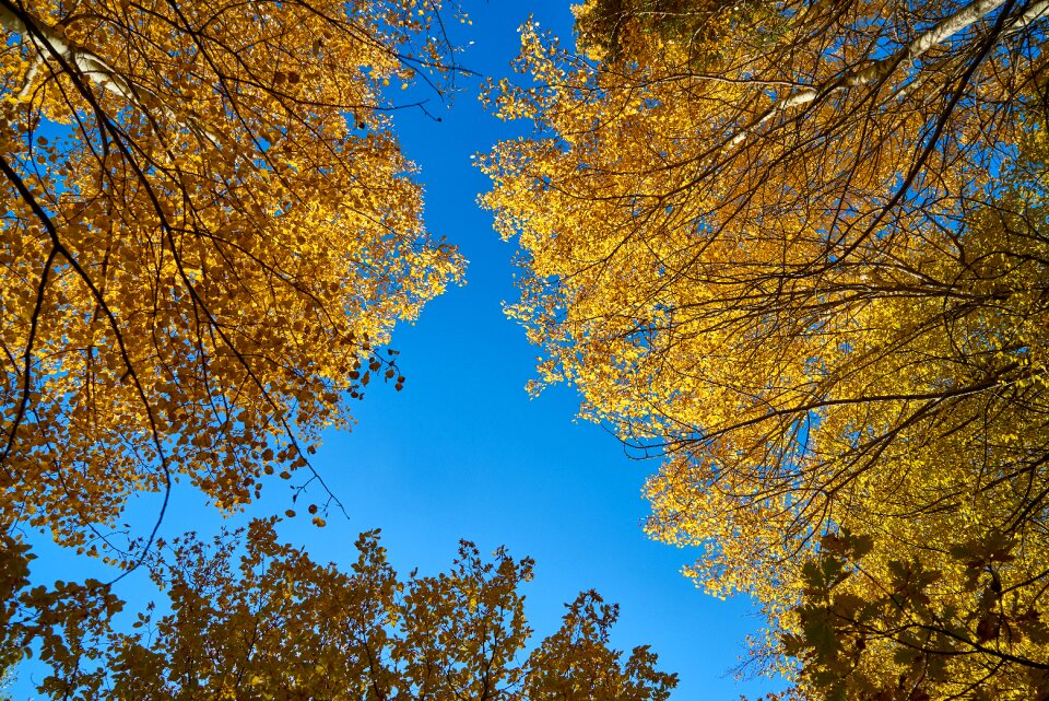 Nature beautiful background