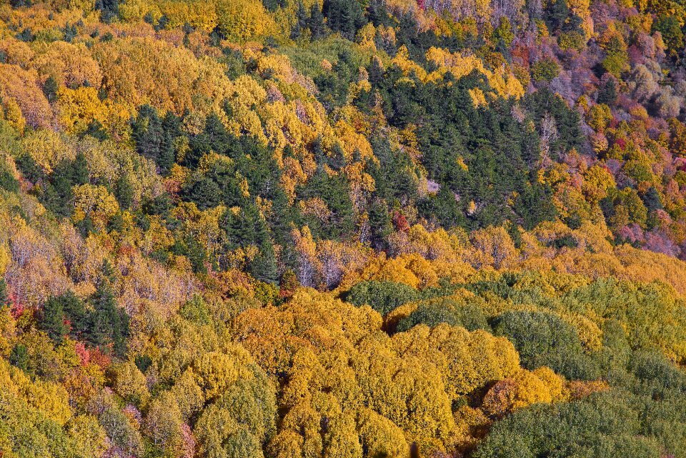 Nature beautiful background