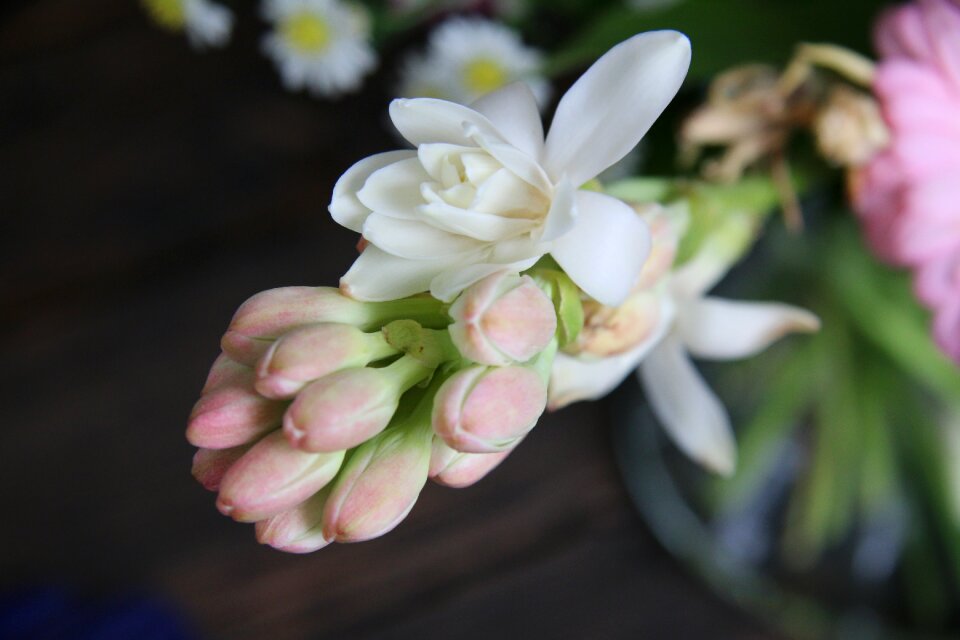 Flower birthday party