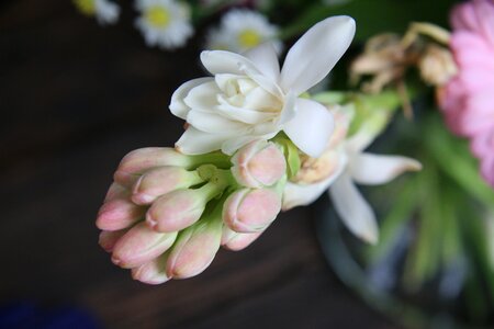 Flower birthday party