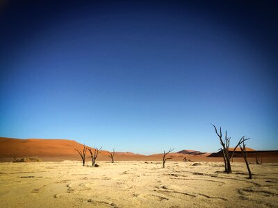 Landscape safari nature