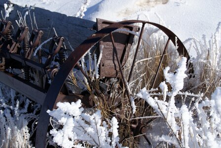 Planter antique