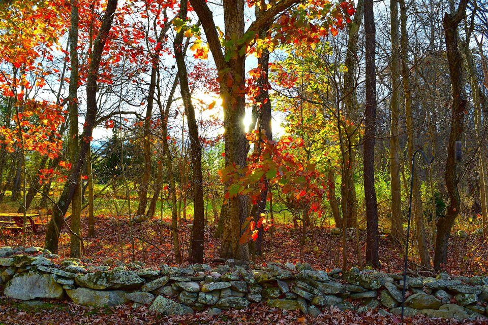 Autumn rural season photo