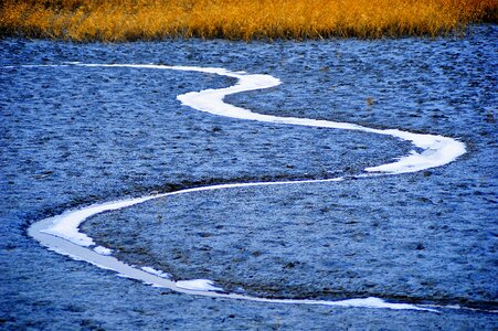 Plenty of water nature suncheon bay
