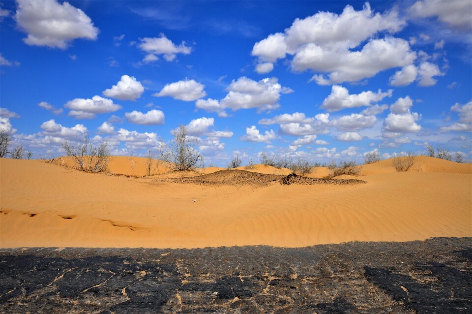 Desert kyzylkum sand nature