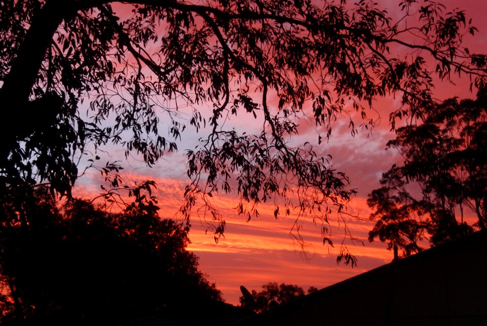 Sky orange colorful
