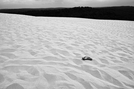 Desert dune dun de pilat photo