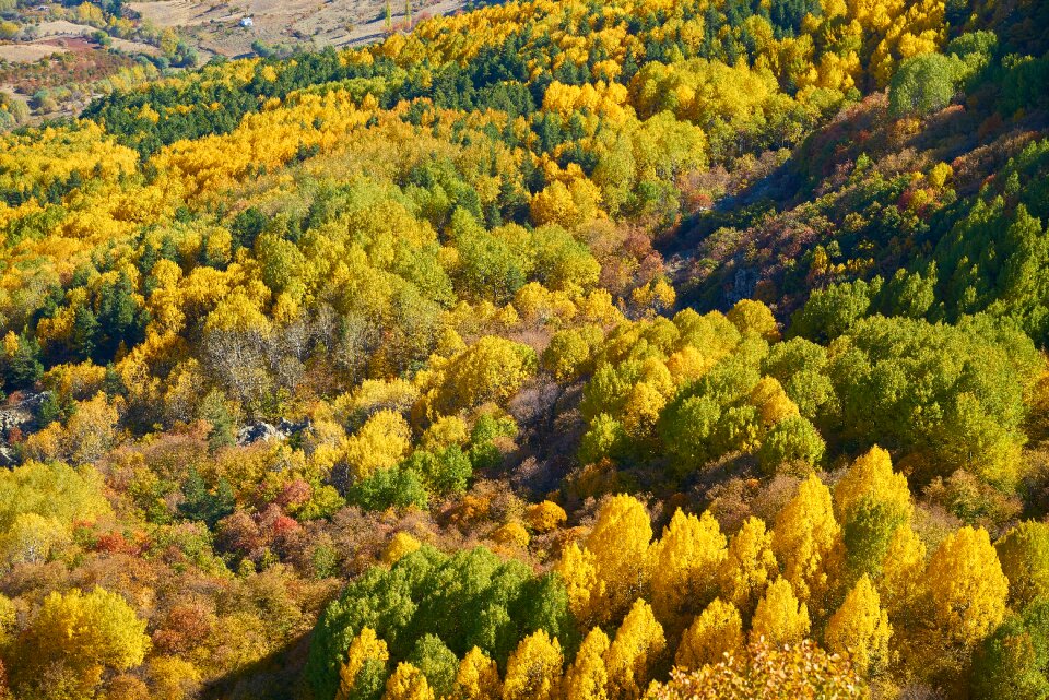 Nature beautiful background