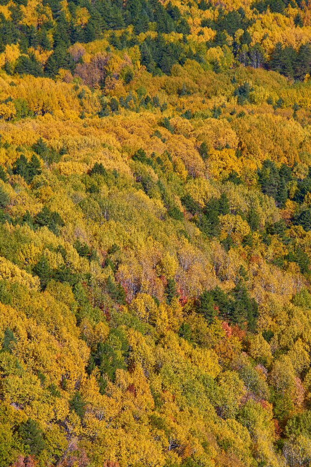 Nature beautiful background
