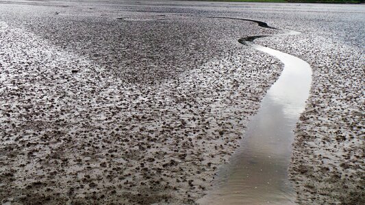 Plenty of water tidal nature