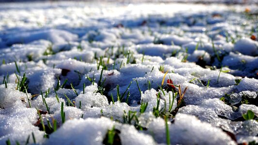 Cold nature white