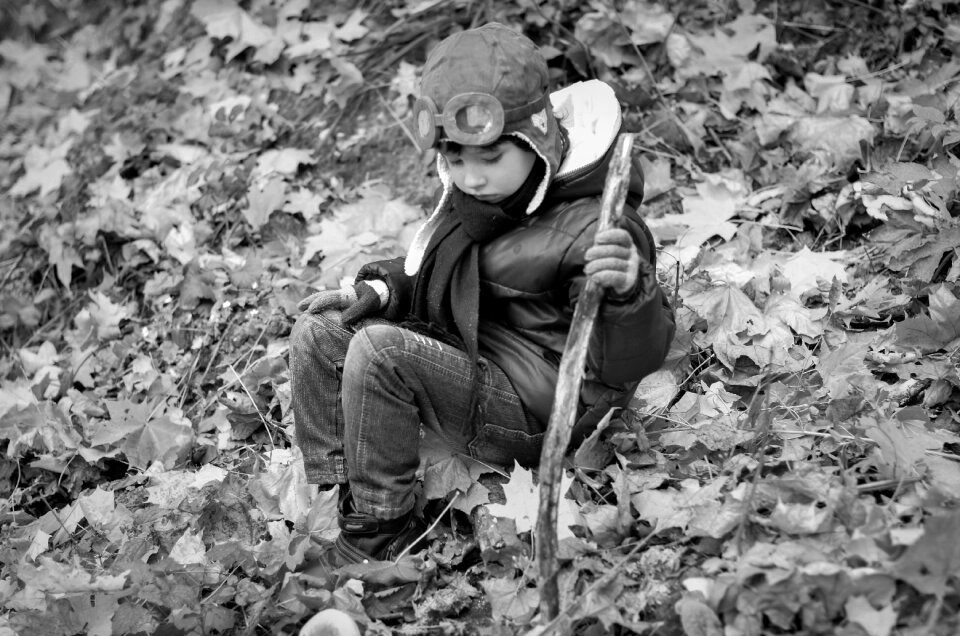 Photo leaves forest