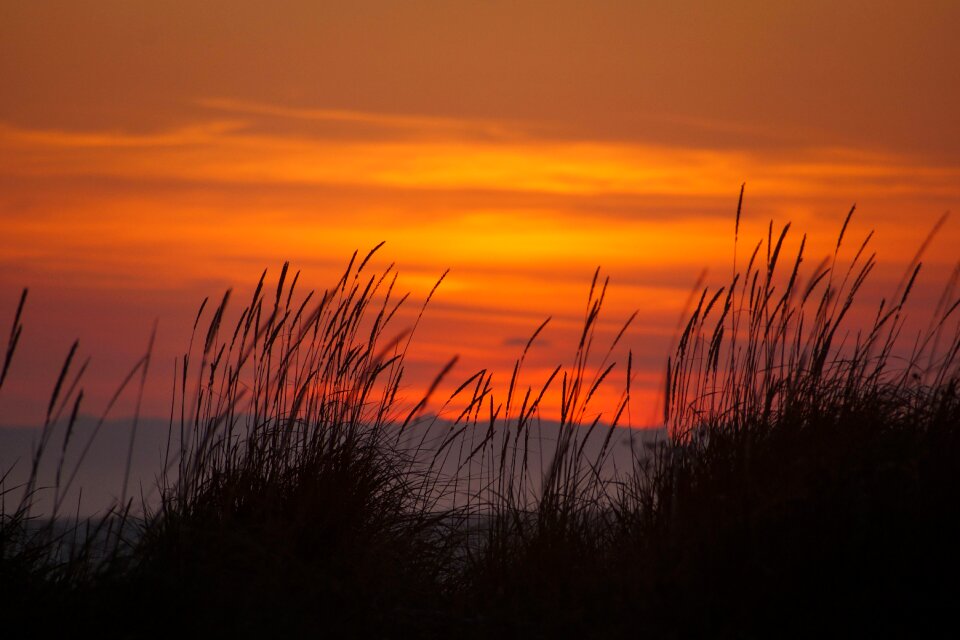 Beach wilderness coast