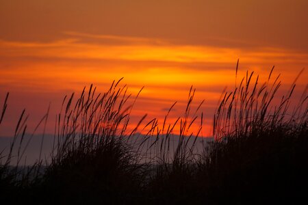 Beach wilderness coast