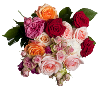 Multi coloured romantic cut flowers photo