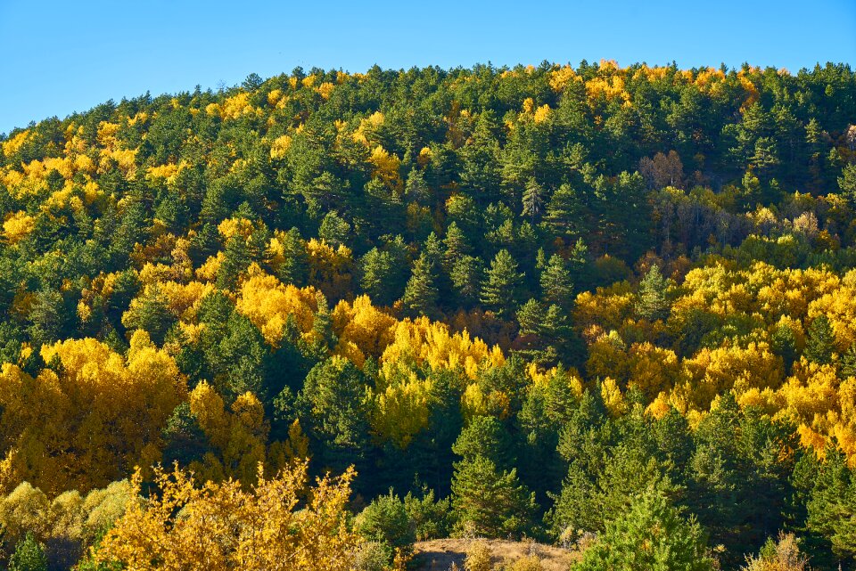 Nature beautiful landscape