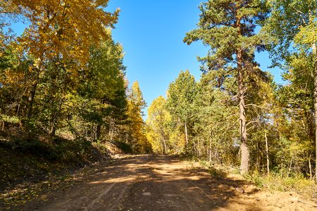 Nature mountain landscape photo