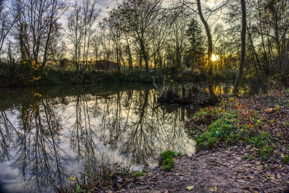 Nature landscape water level
