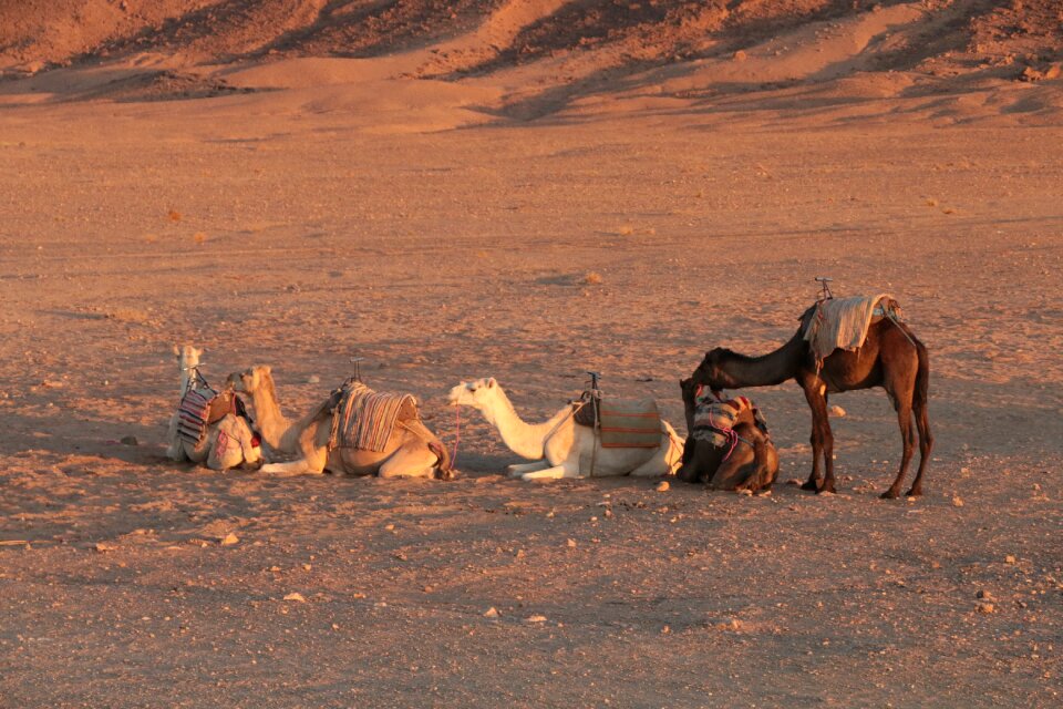 Morocco wilderness mountains
