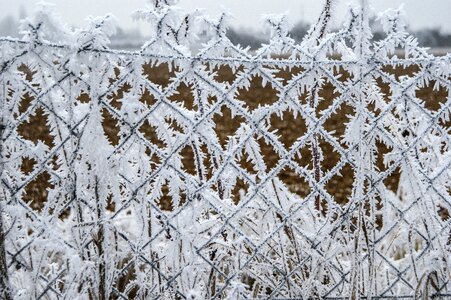 Gel closing winter