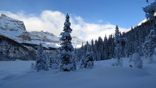 Winter banff national park photo