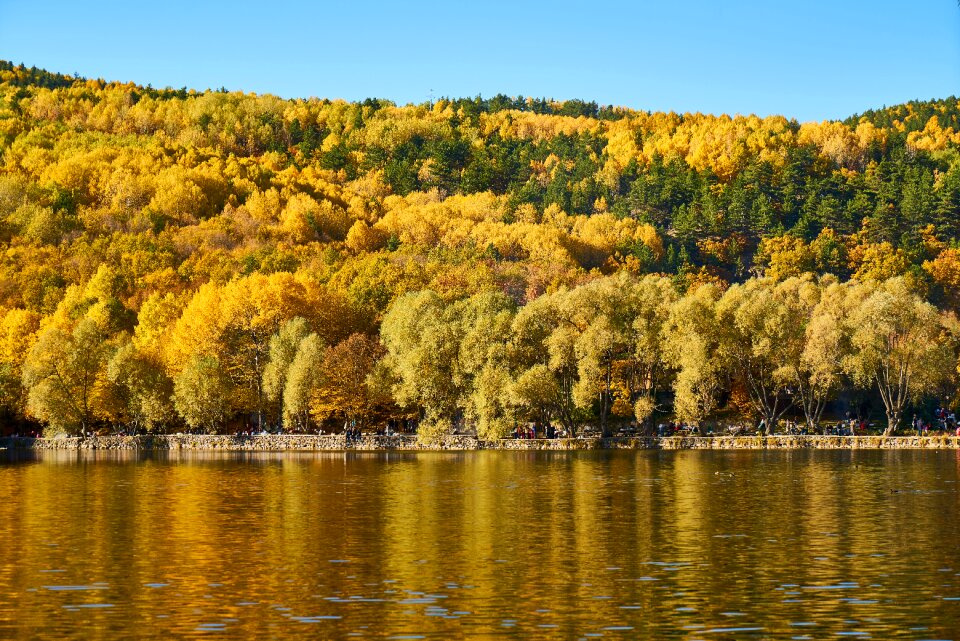 Nature beautiful background