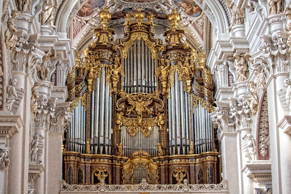 Organ golden frescoes