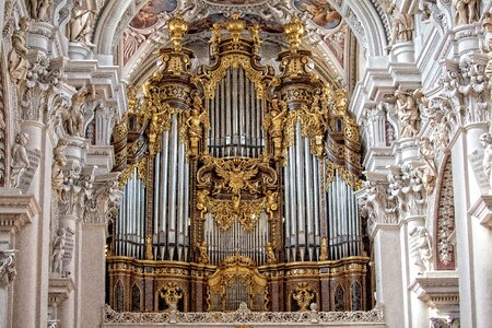 Organ golden frescoes