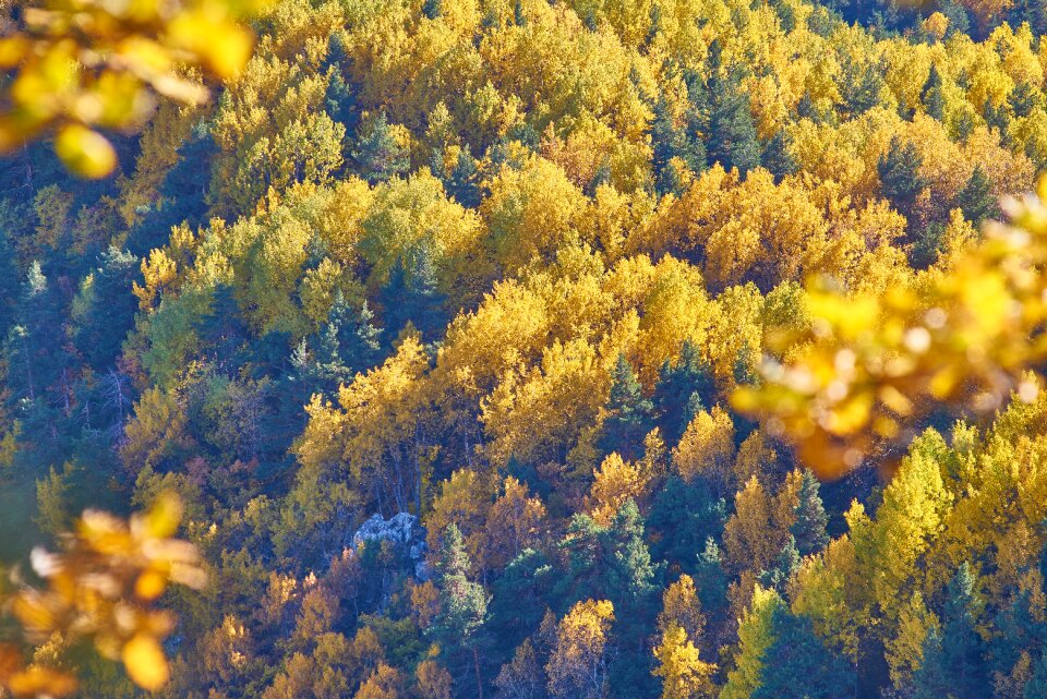 Nature beautiful background