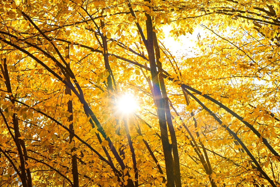 Nature beautiful background