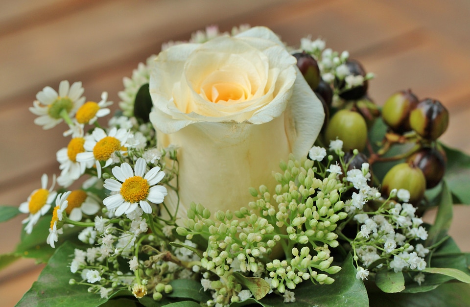 Flowers white roses decorative