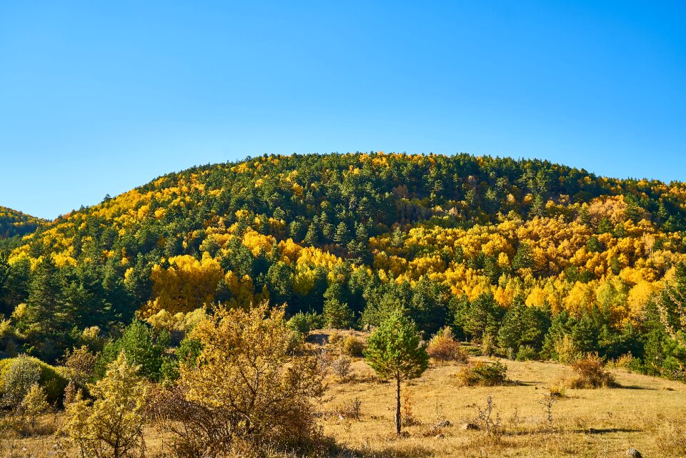 Nature beautiful landscape