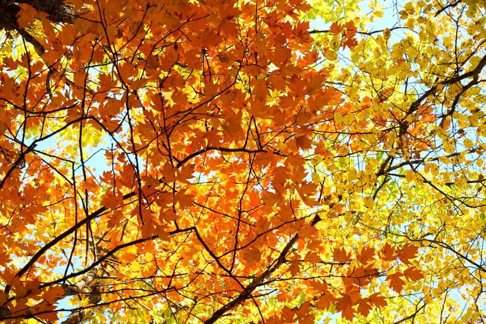 Nature beautiful background