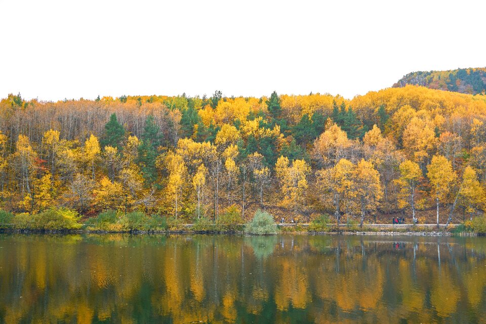 Nature beautiful background