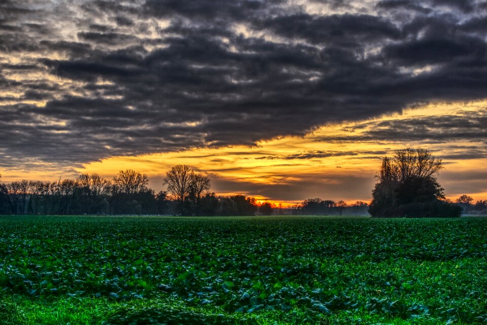 Drama field green